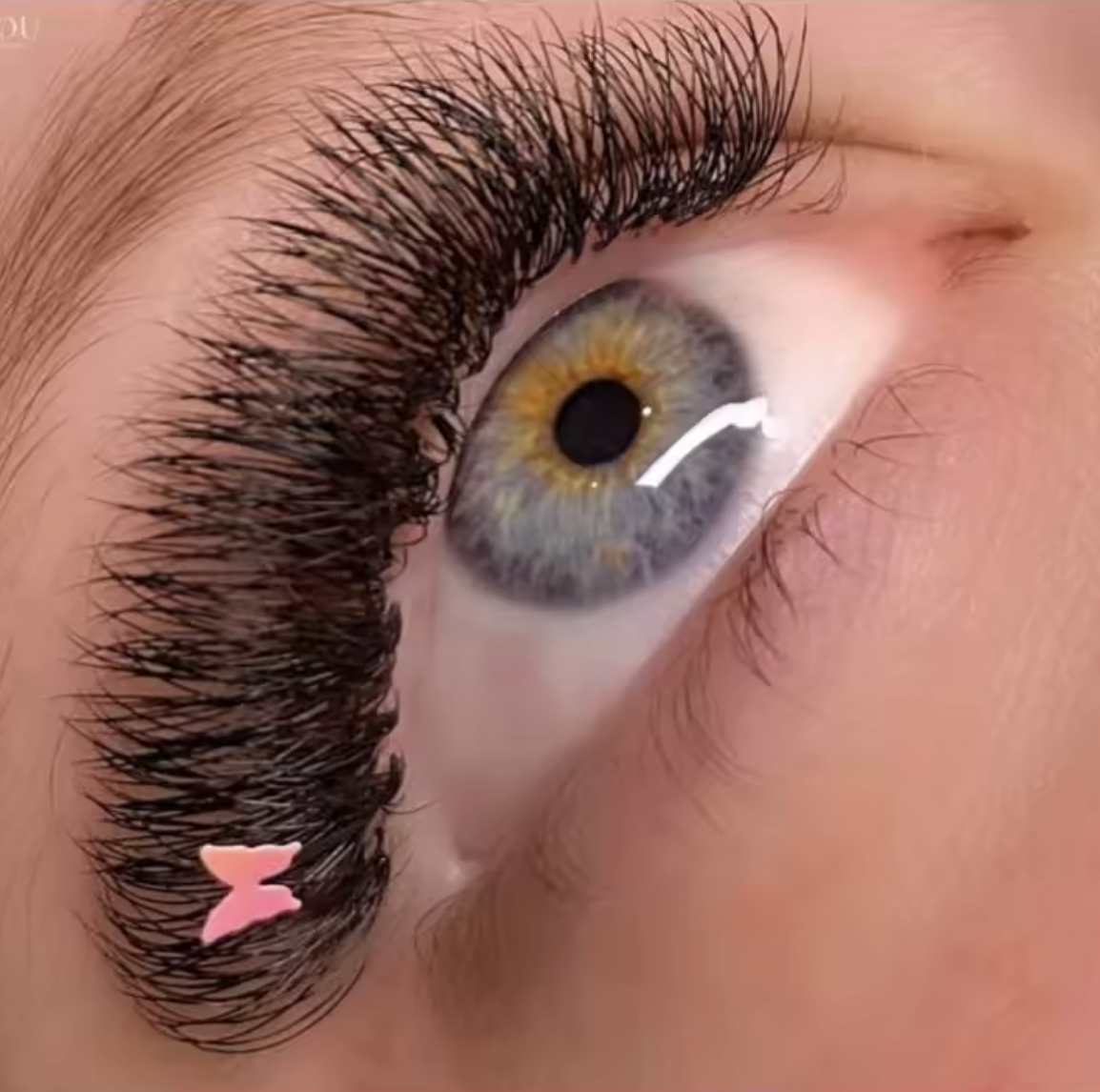 XL large tray Pre Made Fans Lashes Vendor 3D 4D 5D 6D 7D 8D 10D Short Stem Premade Volume Fans lash Extension